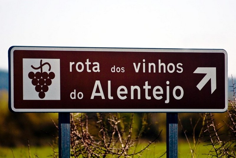 vinhos